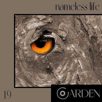 Nameless Life